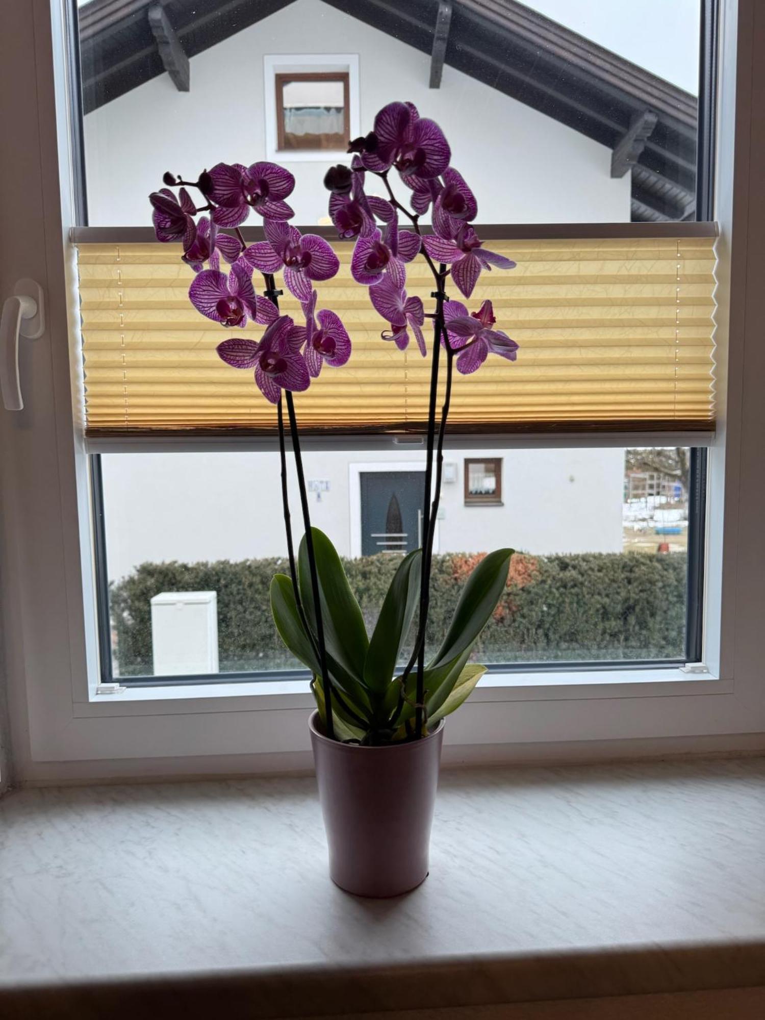 Ferienwohnung Rauchkofelblick Debant Экстерьер фото